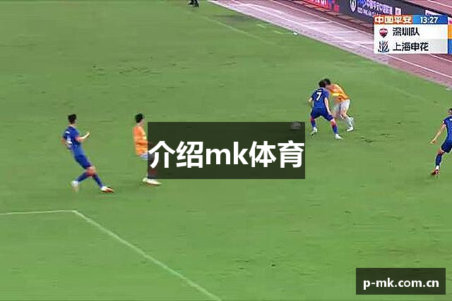 介绍mk体育